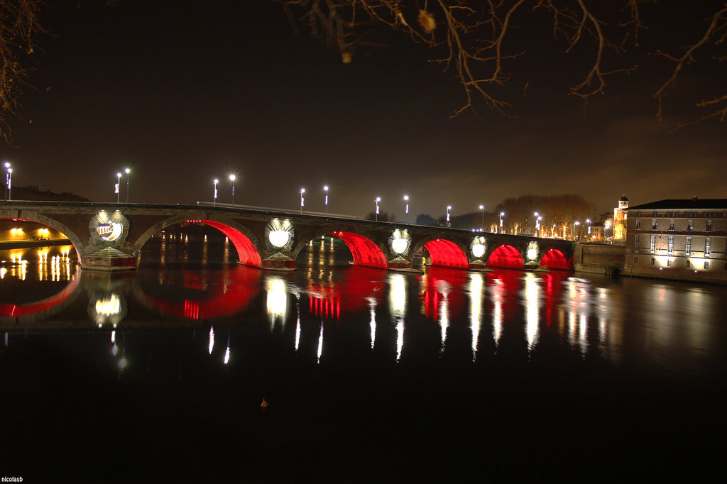 Toulouse et la Garonne de nuit