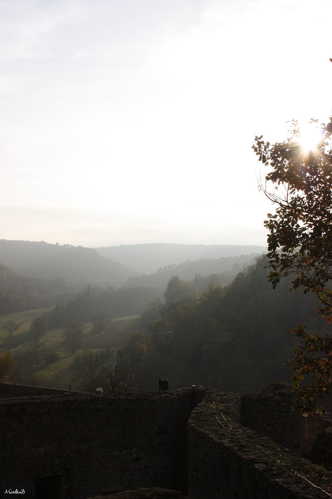 Paysage brumeux