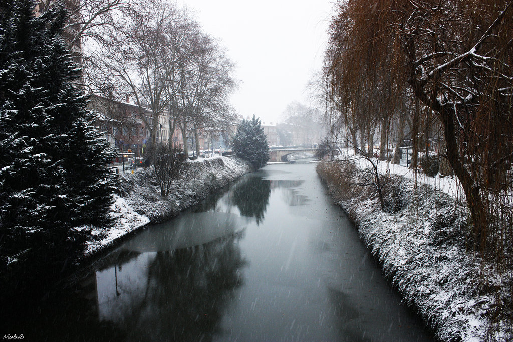 canal du midi à Toulouse