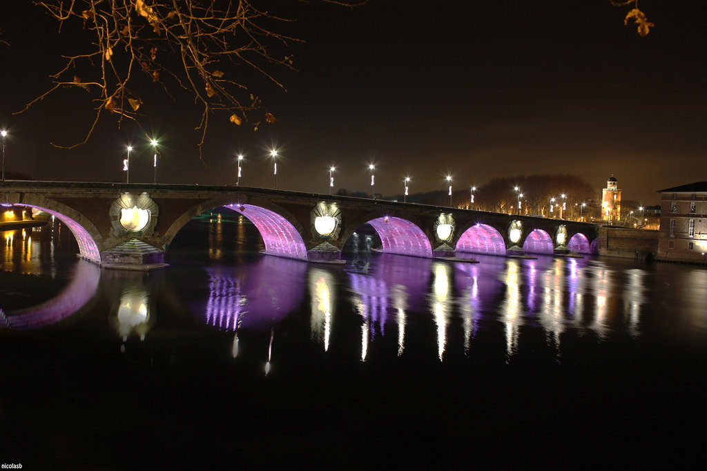 Toulouse et la Garonne de nuit