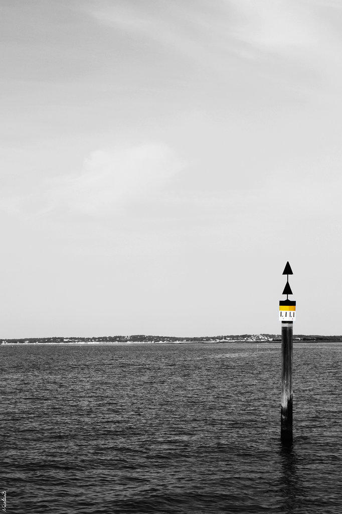 Bassin d'Arcachon