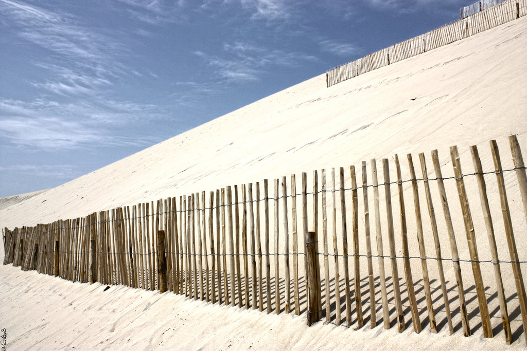 Dune du Pyla