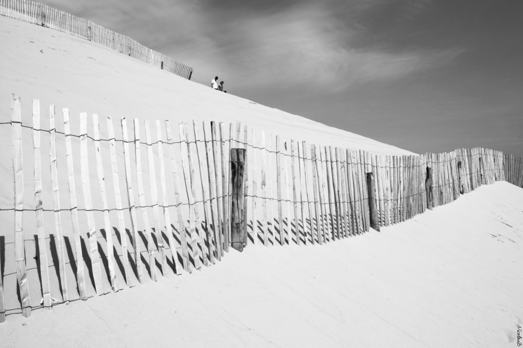 Dune du Pyla