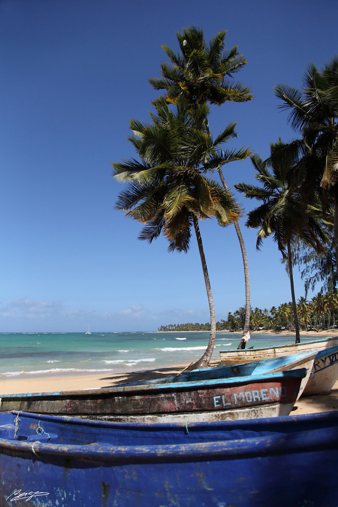 plage las terrenas republique dominicaine