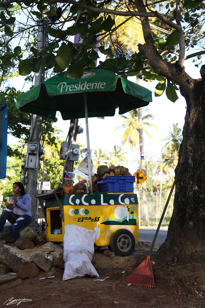 las terrenas republique dominicaine dominicaine