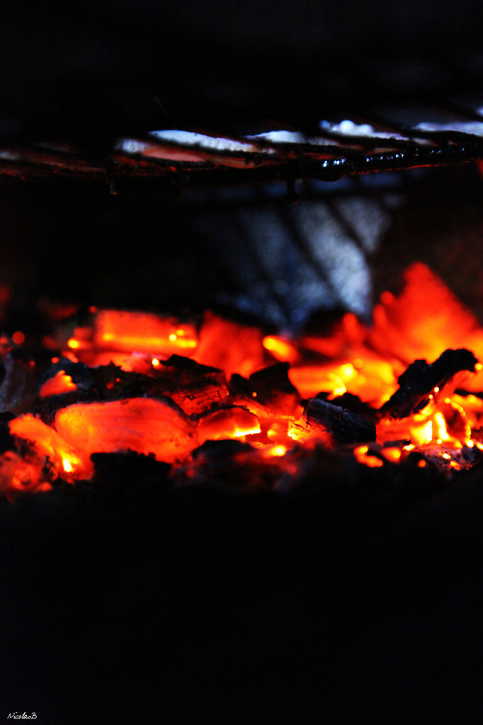 IMG-1566.jpg