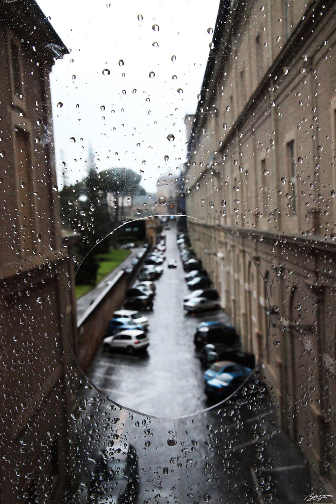 IMG-4499.JPG