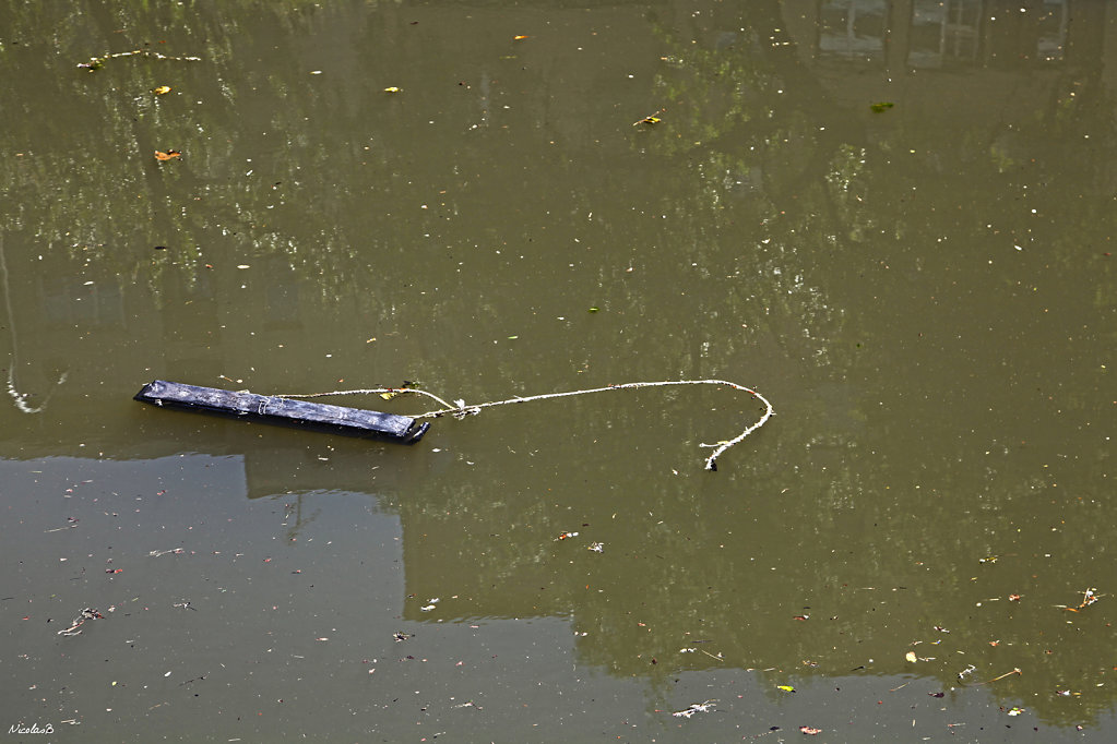 IMG-6620.jpg